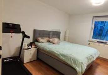 482556-Vorschaubild3