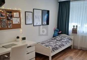 482852-Vorschaubild3