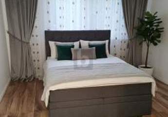 482852-Vorschaubild4