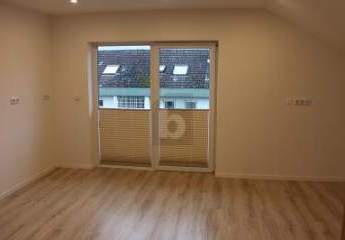 482582-Vorschaubild3