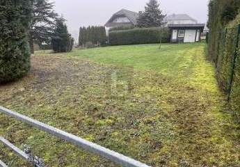 482827-Vorschaubild2