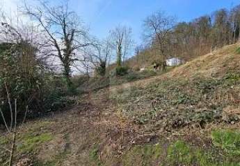 483065-Vorschaubild2