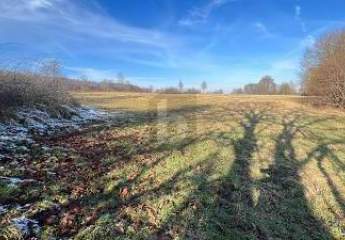 483072-Vorschaubild2