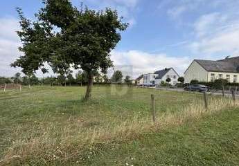 482262-Vorschaubild3