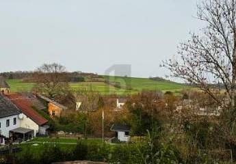 482974-Vorschaubild3