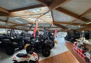 481483-Vorschaubild4