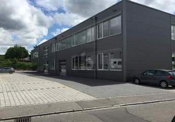 479509-Vorschaubild3