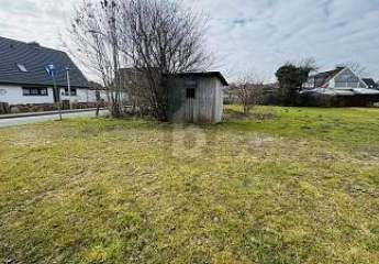 483273-Vorschaubild3