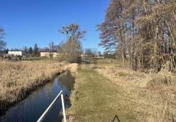 483274-Vorschaubild4