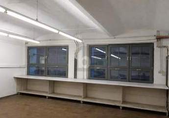 481654-Vorschaubild2