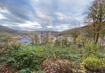 482594-Vorschaubild2