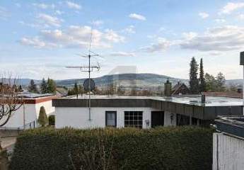 483393-Vorschaubild4