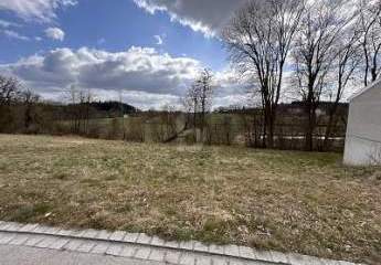 483530-Vorschaubild2