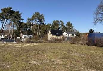 483081-Vorschaubild3