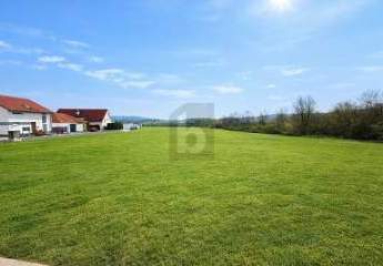 483721-Vorschaubild2