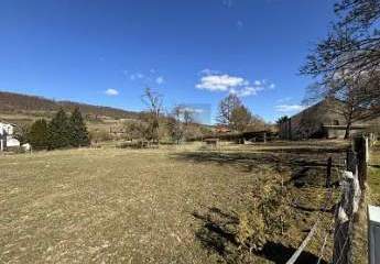 483481-Vorschaubild2