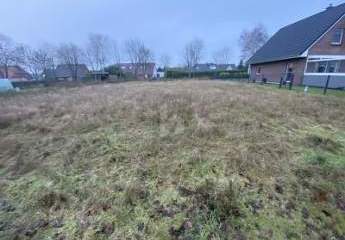 483483-Vorschaubild4