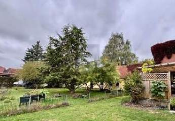 483778-Vorschaubild4