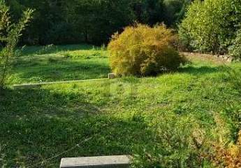 479494-Vorschaubild2