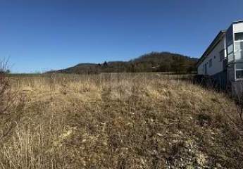 482287-Vorschaubild2