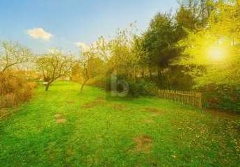 482861-Vorschaubild3