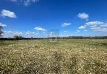 482830-Vorschaubild2