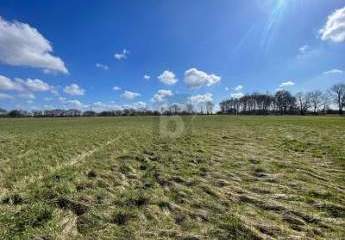 482830-Vorschaubild3