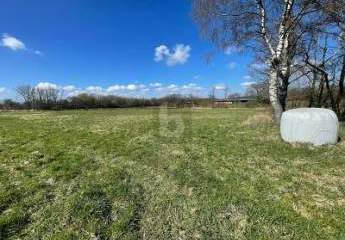 482830-Vorschaubild4