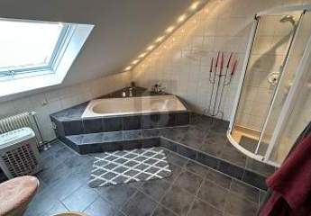 482256-Vorschaubild3