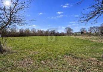 483705-Vorschaubild3