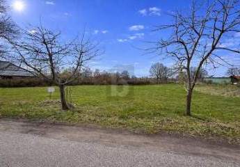 483705-Vorschaubild4