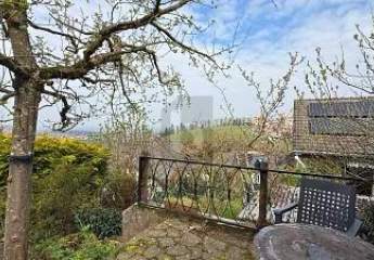 483919-Vorschaubild2