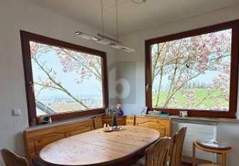 483919-Vorschaubild3