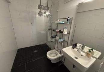 483838-Vorschaubild4