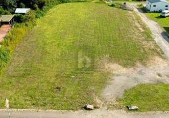 483143-Vorschaubild3