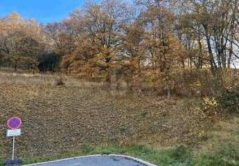 484263-Vorschaubild3