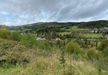 484408-Vorschaubild4