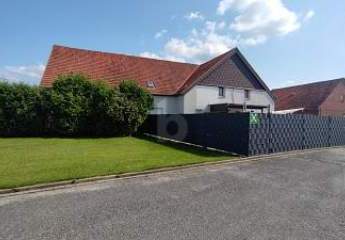 482498-Vorschaubild4