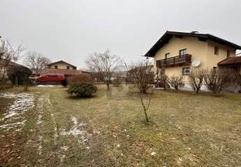 484235-Vorschaubild3