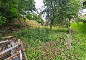 484424-Vorschaubild2