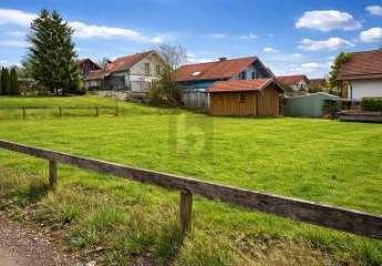 482828-Vorschaubild2