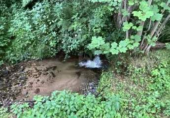 479640-Vorschaubild3