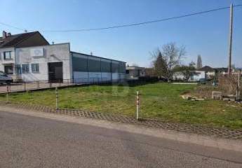 479650-Vorschaubild2