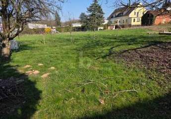 479650-Vorschaubild3