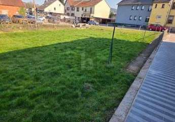 479650-Vorschaubild4