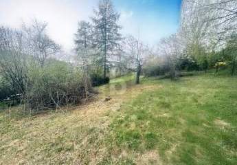 481639-Vorschaubild2