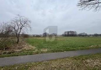 SONNIGES WEIDEPARADIES FÜR TIERHALTUNG