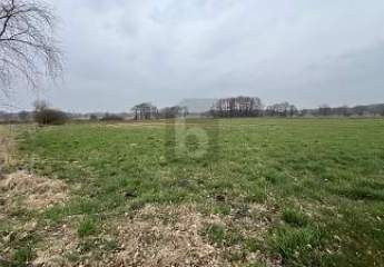 482264-Vorschaubild2