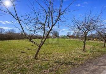 483705-Vorschaubild2