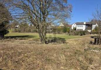 482845-Vorschaubild2